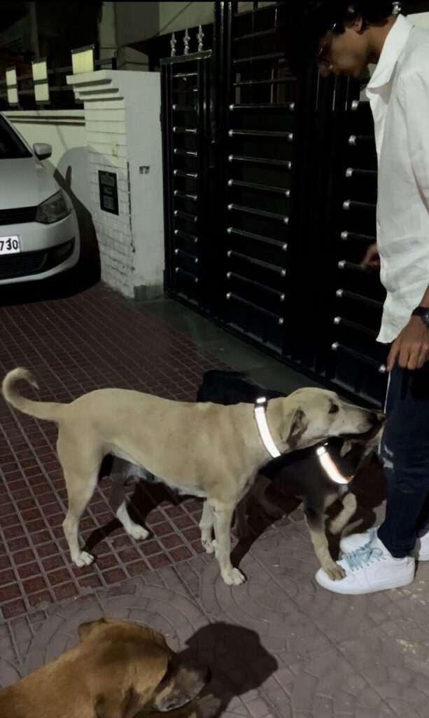 whatsapp image 2025 07 16 at 21.49.35 5a33d78e