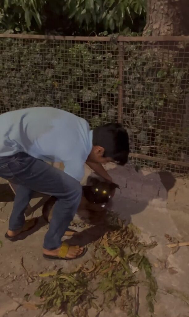 whatsapp image 2025 07 16 at 21.49.42 a46d3137