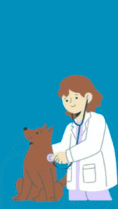 doctoranddog